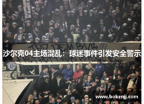 沙尔克04主场混乱：球迷事件引发安全警示